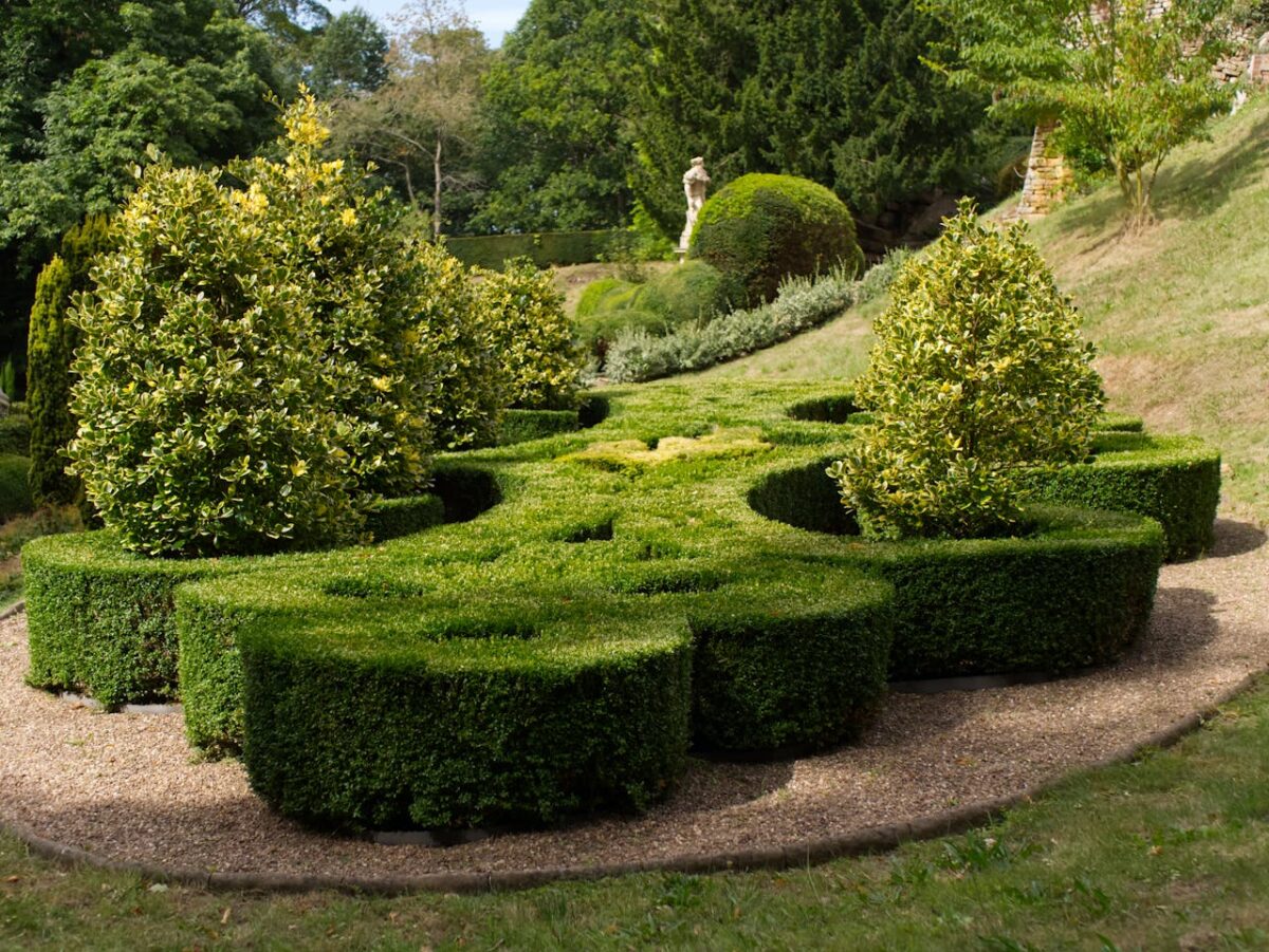 heros-img A beautifully designed topiary garden with lush greenery and artistic shrub formations.