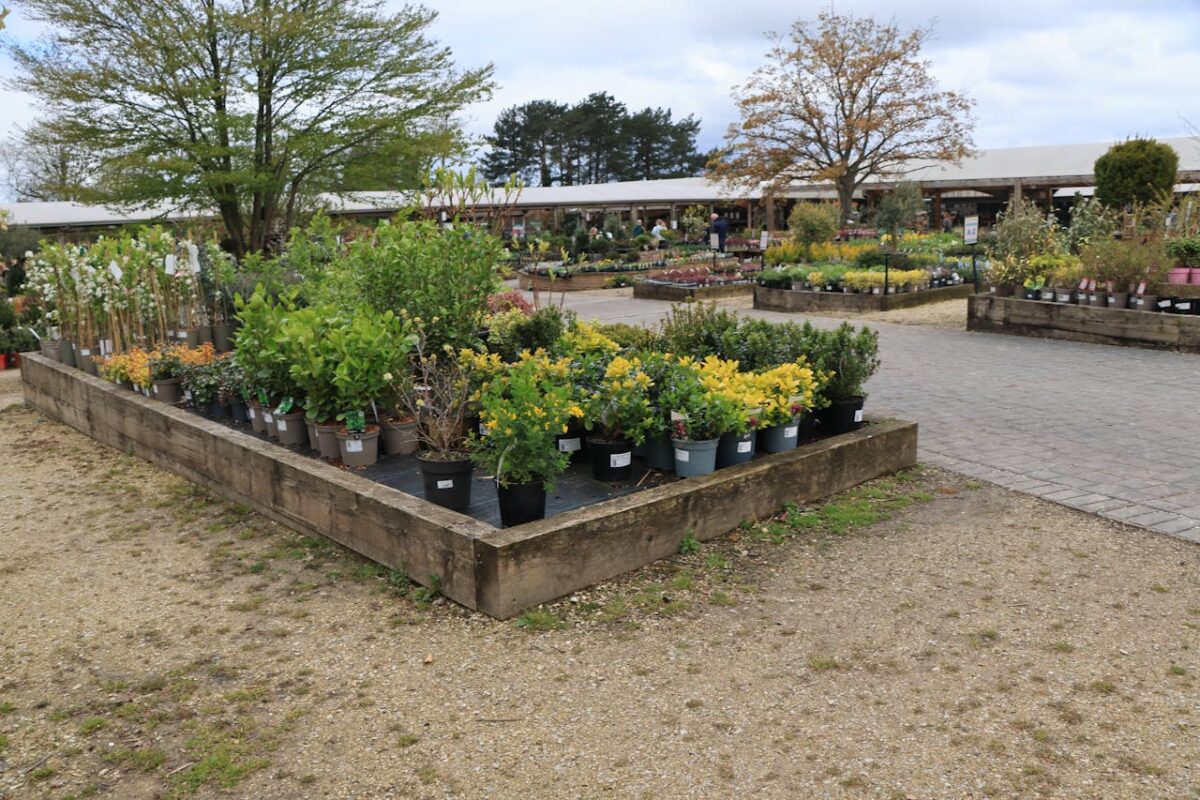 about-us Wide view of a plant nursery with diverse greenery in pots under cloudy sky.